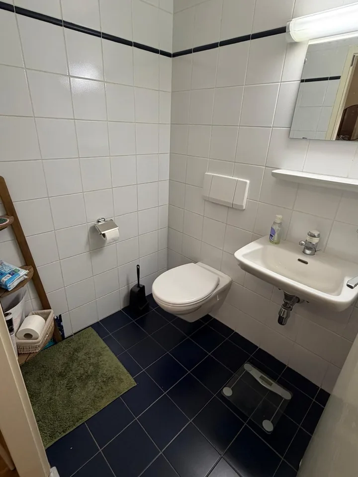 Spacious 4-room apartment in central Plainpalais
