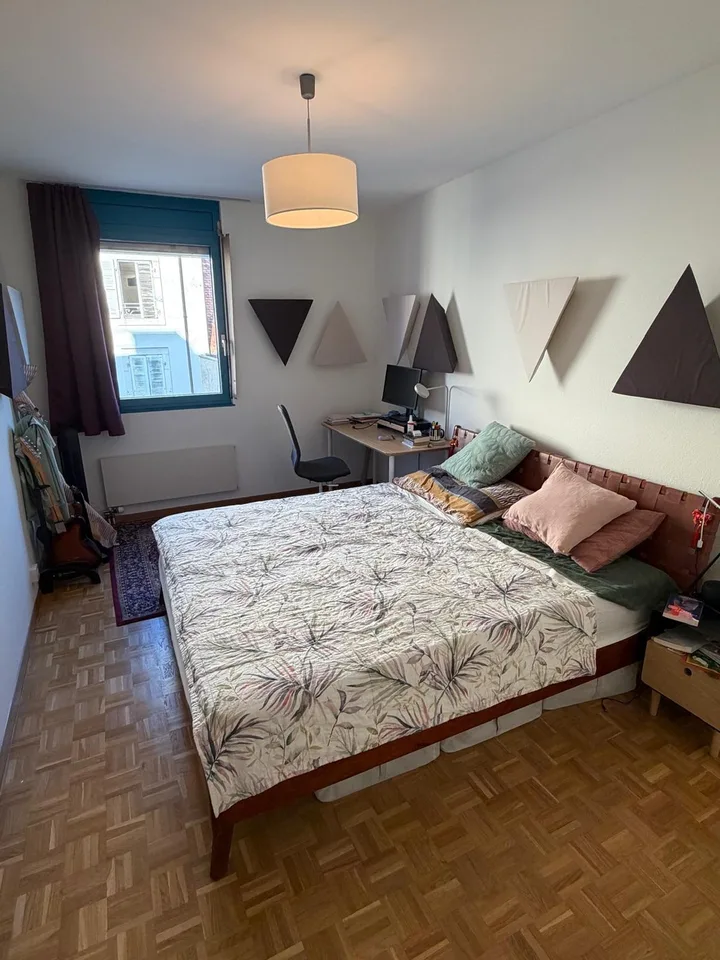 Spacious 4-room apartment in central Plainpalais