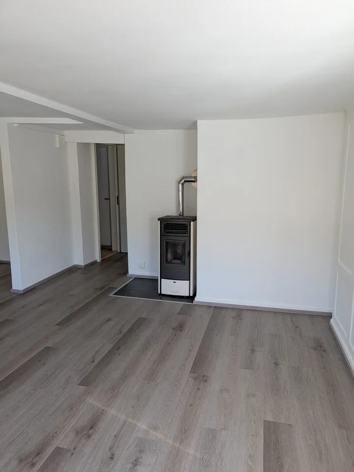 Bauma Renovierte Wohnung in grünen zu vermieten