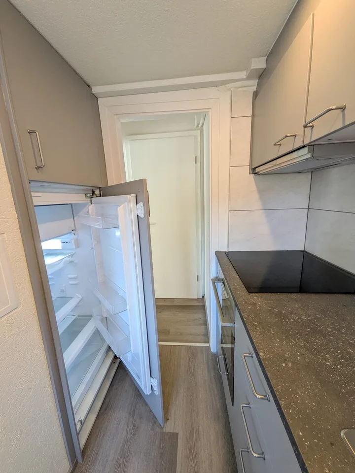 Bauma Renovierte Wohnung in grünen zu vermieten