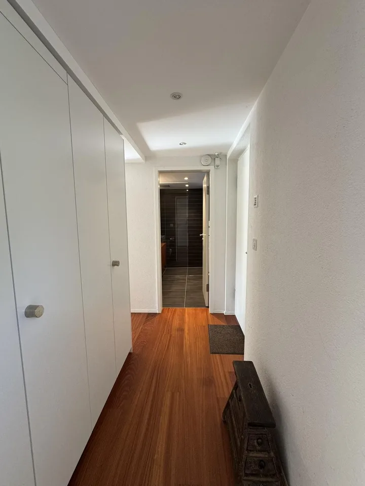 Einliegerwohnung Winterthur Seen