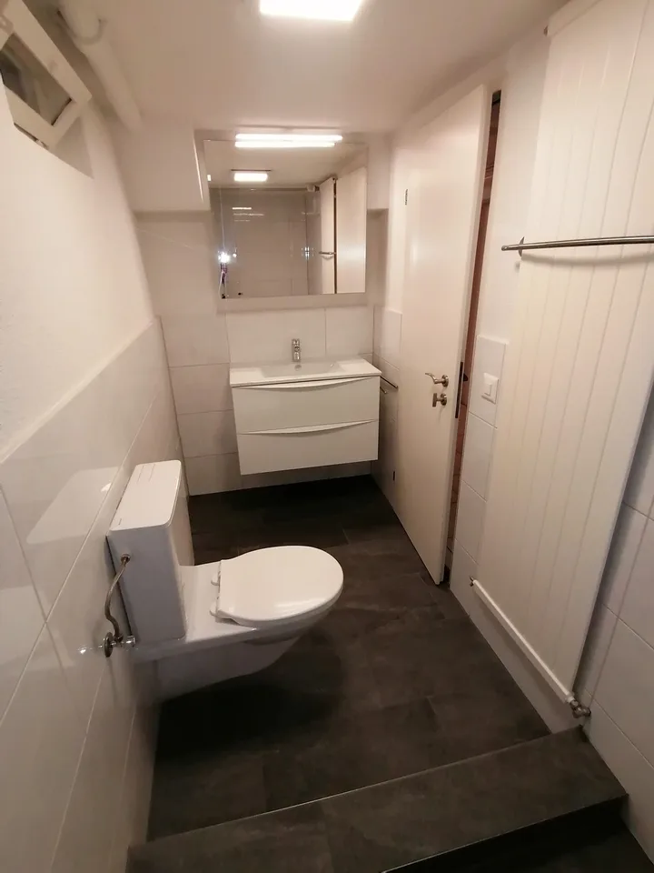 Schönes Chalet im `Sieben Hügel Dorf" Hägglingen zu vermieten