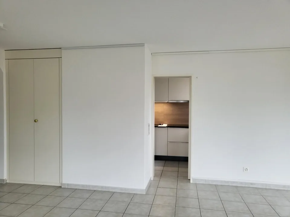 Grosszügige helle 4.5-Zimmer Wohnung auf 9. Stockwerk