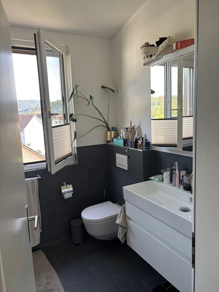 4.5 Zimmer Dachgeschosswohnung