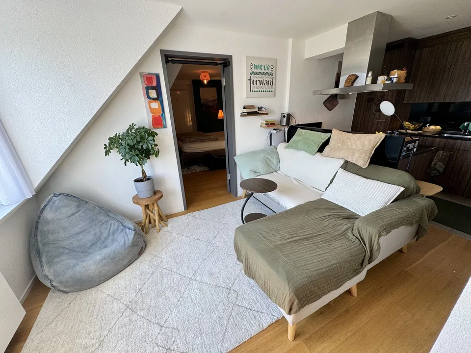 2½ ZIMMER-DACHWOHNUNG IN ZÜRICH - KREIS 10, MÖBLIERT, TEMPORÄR