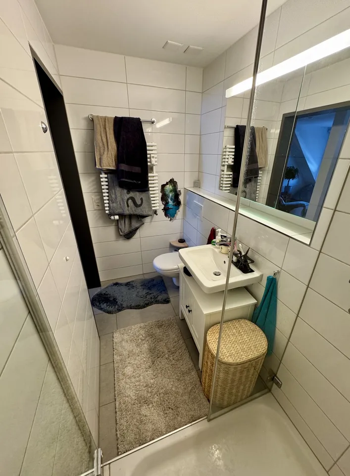2½ ZIMMER-DACHWOHNUNG IN ZÜRICH - KREIS 10, MÖBLIERT, TEMPORÄR