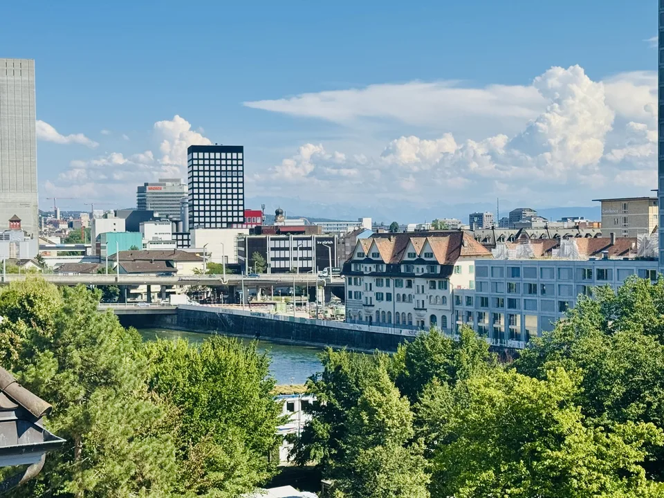 2½ ZIMMER-DACHWOHNUNG IN ZÜRICH - KREIS 10, MÖBLIERT, TEMPORÄR