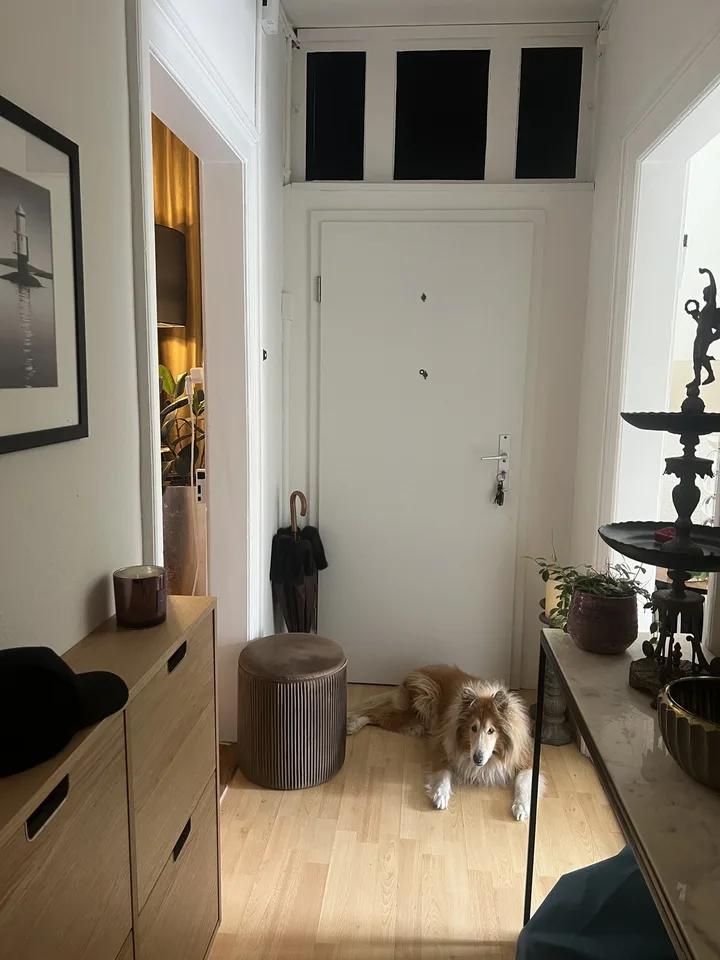 Sehr Ruhige Garten 3 1/2 Wohnung im EG in nur wenigen Minuten zu Fuss am Rhein