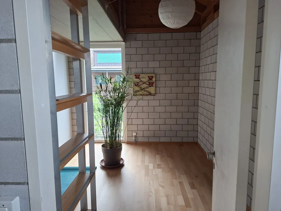 Casa unifamiliare unica di 6 locali a Rupperswil - Purismo, privacy e sostenibilità