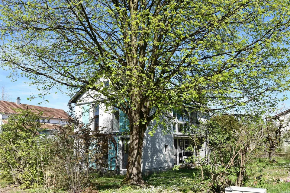 Casa unifamiliare unica di 6 locali a Rupperswil - Purismo, privacy e sostenibilità