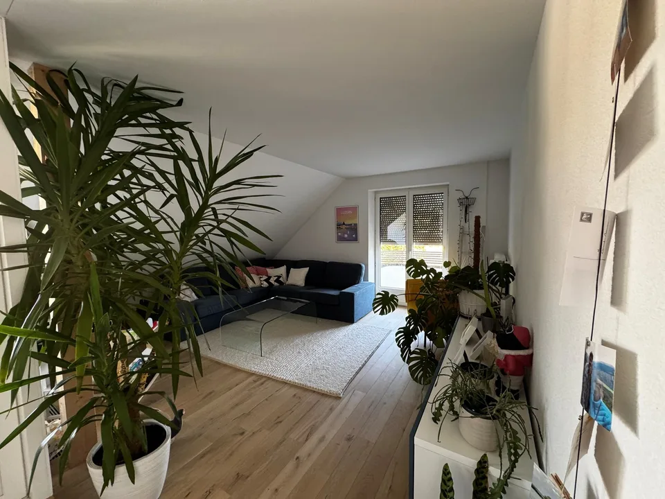 Helle und grosszügige 4.5-Zimmer-Wohnung in Bern zur befristeten Untermiete