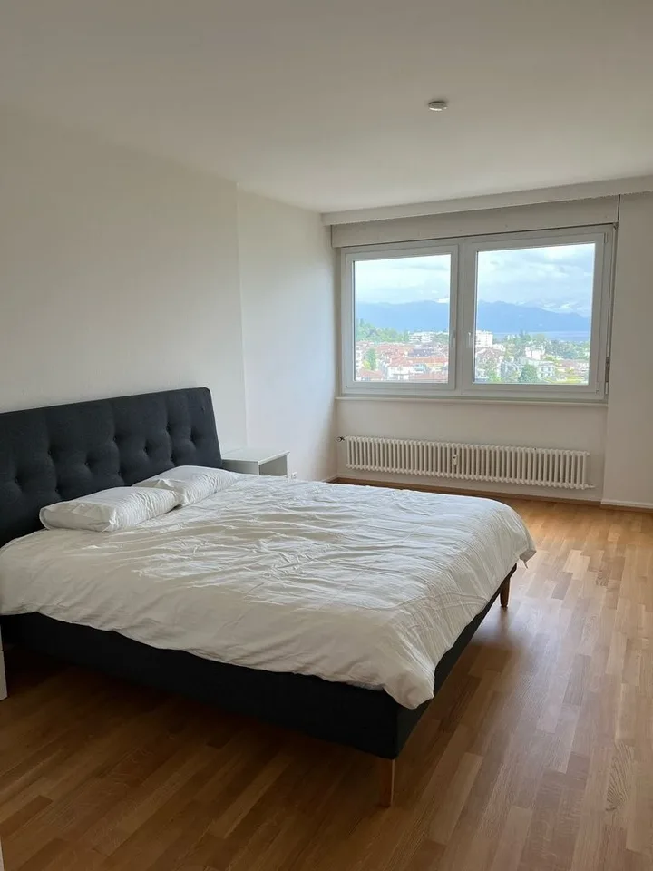Grand logement de 2 pièces au 11ème étage - Avec vue sur le lac