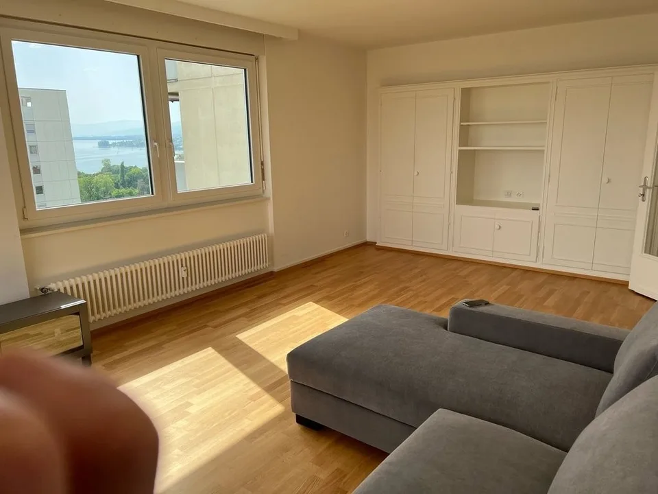Grand logement de 2 pièces au 11ème étage - Avec vue sur le lac