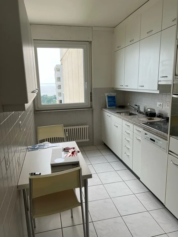 Grand logement de 2 pièces au 11ème étage - Avec vue sur le lac