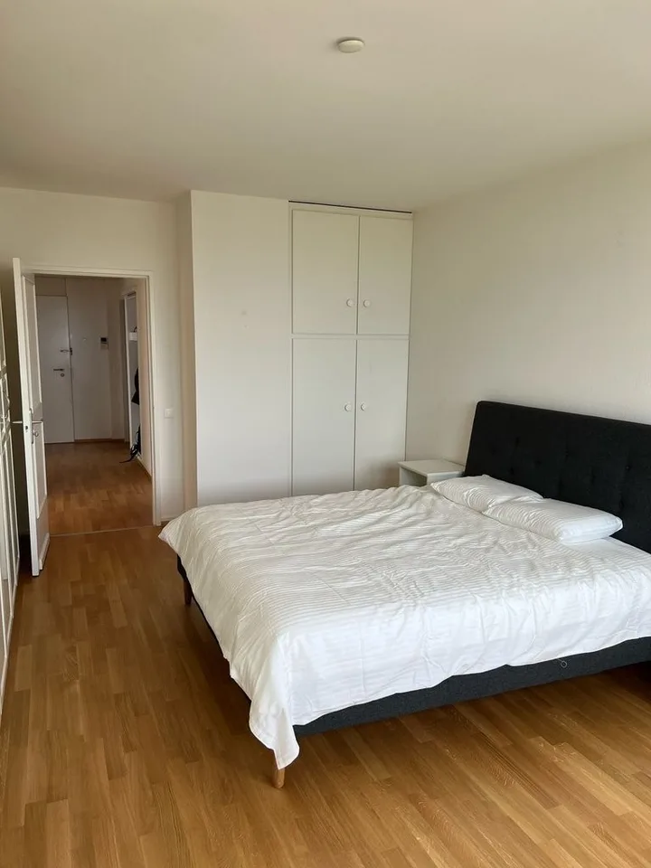Grand logement de 2 pièces au 11ème étage - Avec vue sur le lac