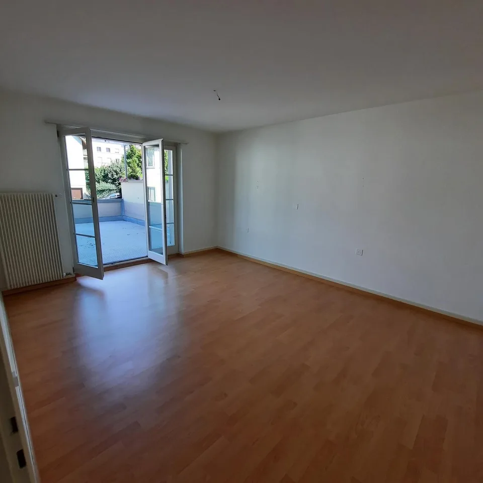 Charmante 3-Zimmer-Wohnung mit riesiger Terrasse und Balkon in Niederdorf