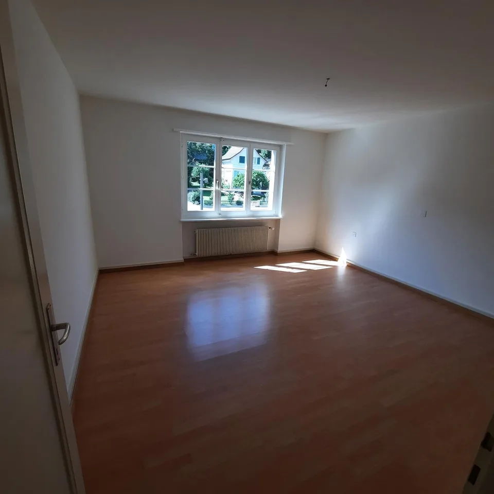 Charmante 3-Zimmer-Wohnung mit riesiger Terrasse und Balkon in Niederdorf
