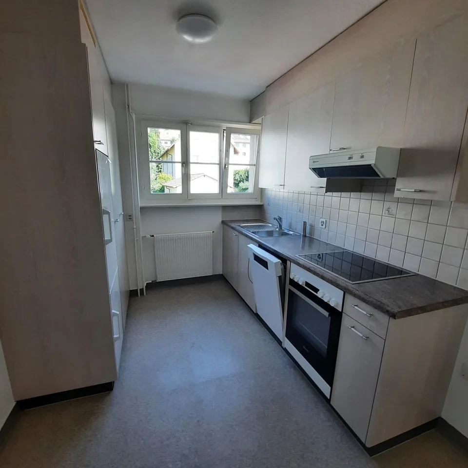 Charmante 3-Zimmer-Wohnung mit riesiger Terrasse und Balkon in Niederdorf