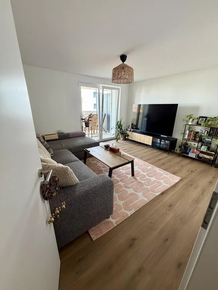 Cozy & Modern 3.0-Room Apartment in Lenzburg – Available from September 2026