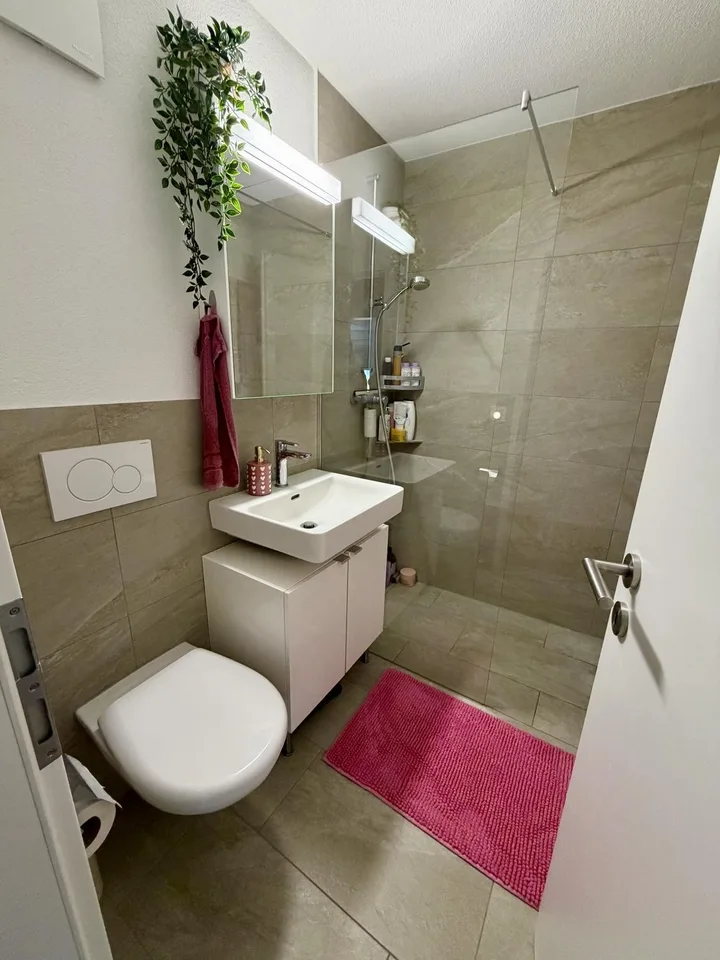 Cozy & Modern 3.0-Room Apartment in Lenzburg, 20 mins from Zurich HB