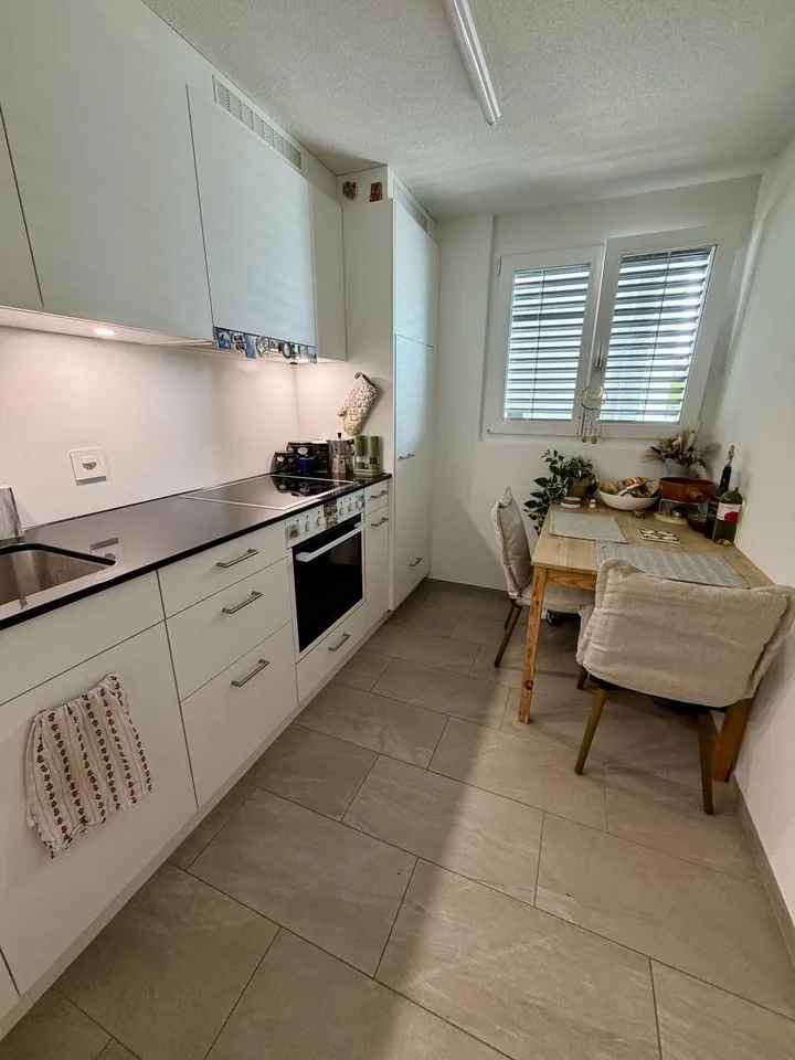 Cozy & Modern 3.0-Room Apartment in Lenzburg, 20 mins from Zurich HB