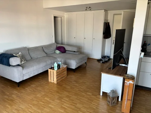 Charmante 2.5-Zimmerwohnung im Dorfzentrum von Römerswil
