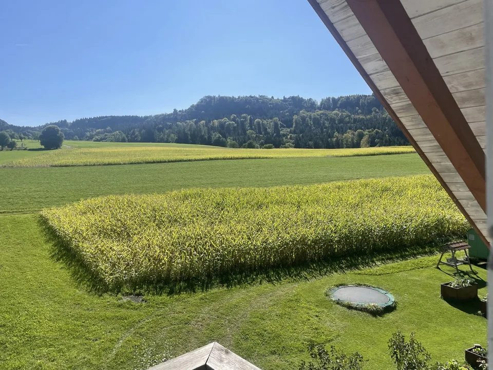 Wohnung mit Weitblick