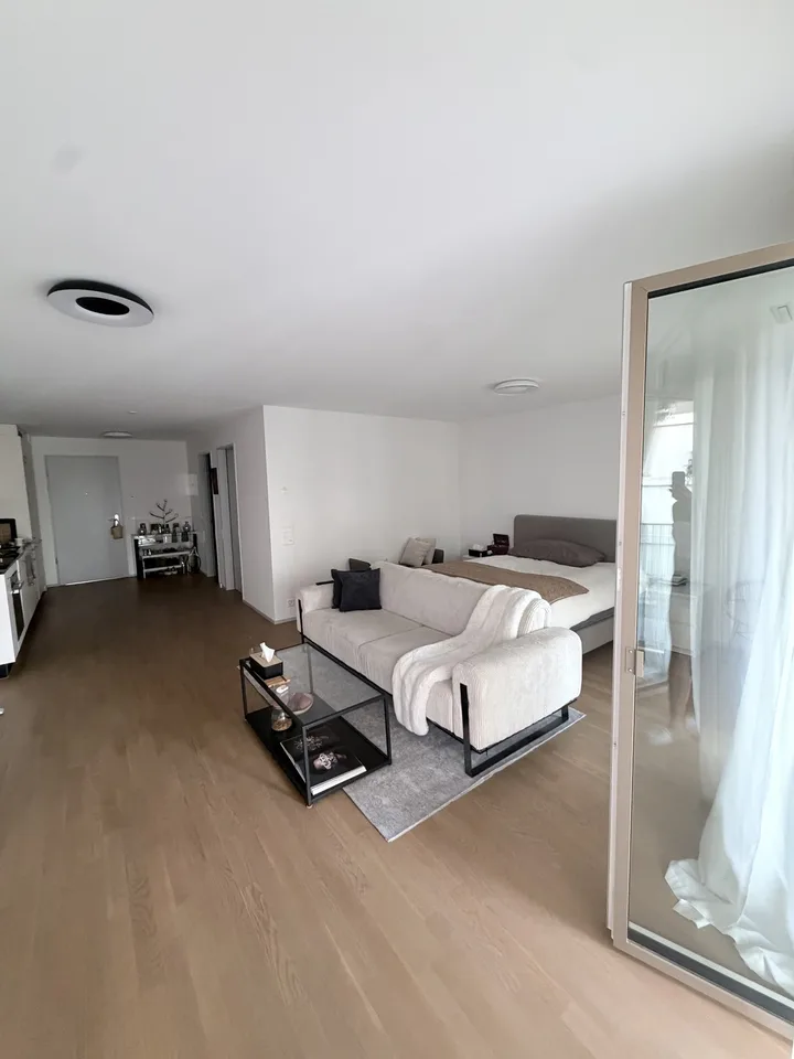 Möblierte 1.5-Zimmer-Wohnung mit Terrasse & Parkplatz in Dübendorf – ab Oktober