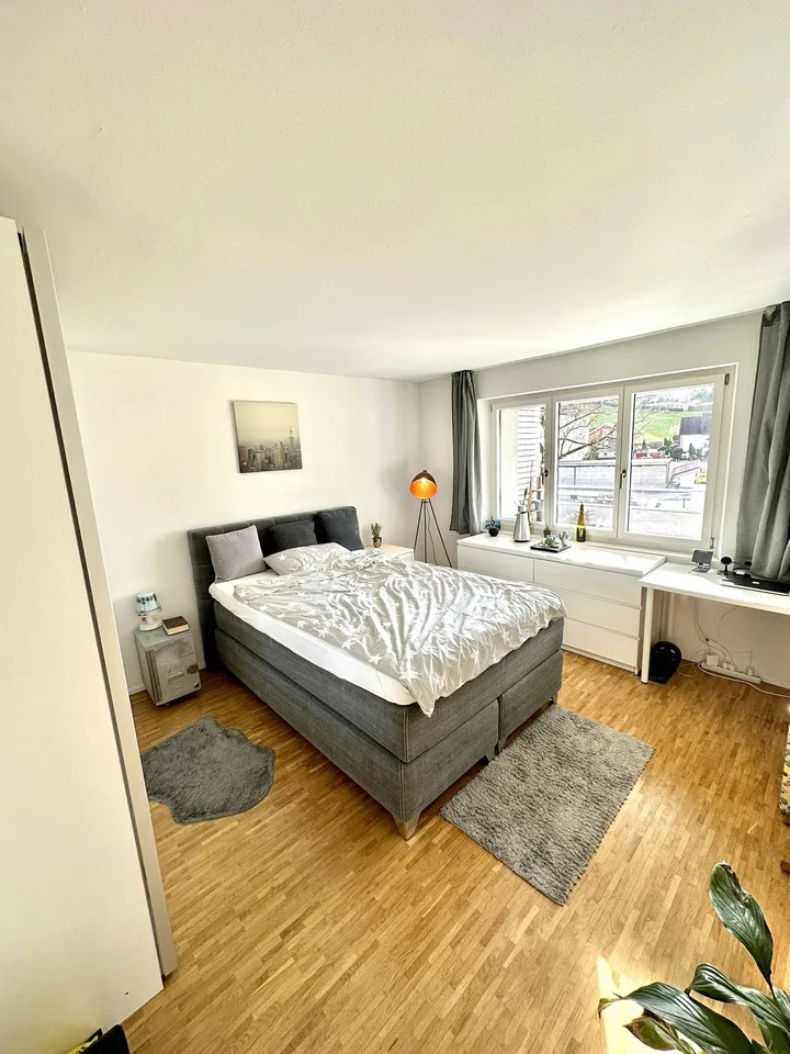 WG Zimmer Uster