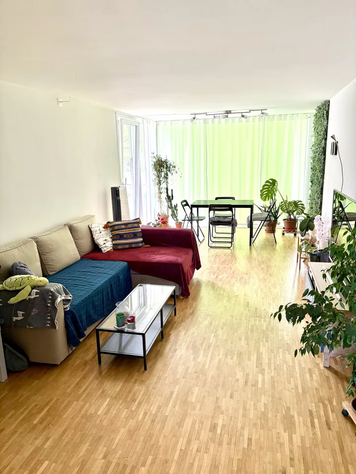 WG Zimmer Uster