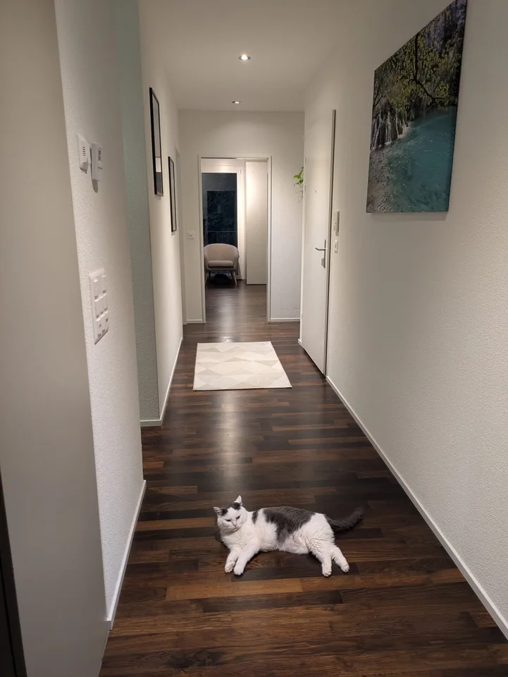 Helle 3,5 Zimmer Gartenwohnung zu vermieten