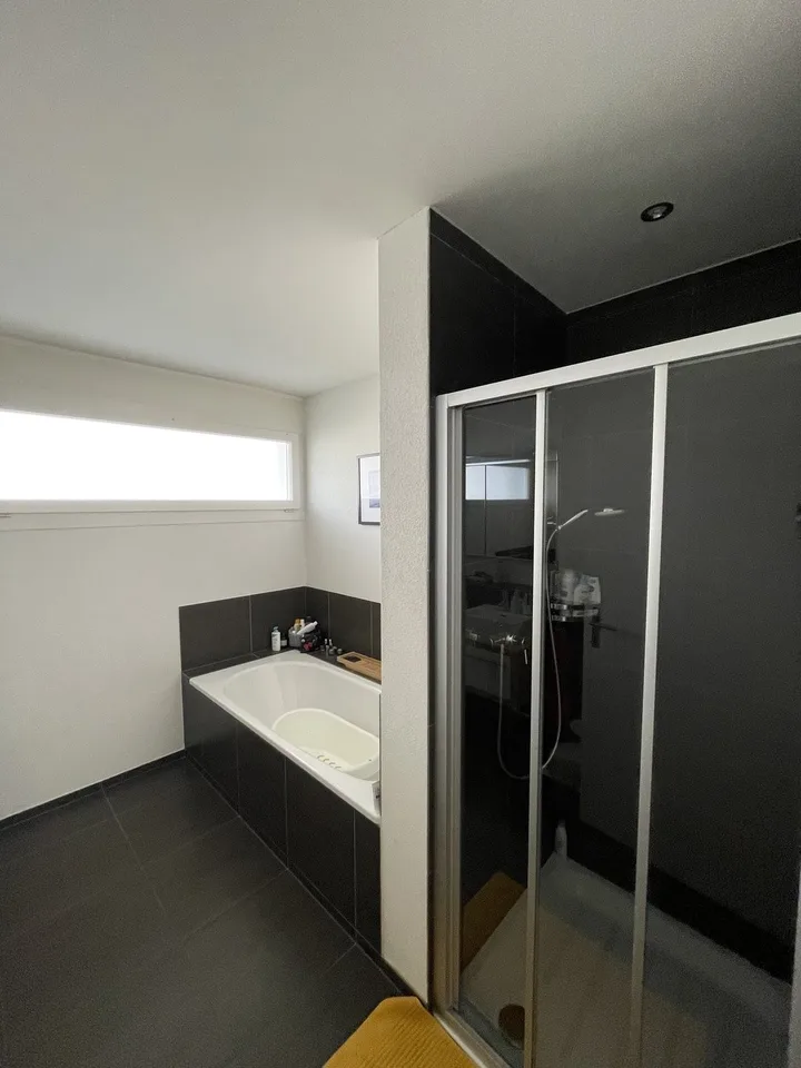 4½ ZI-WOHNUNG IN LUZERN, MÖBLIERT, TEMPORÄR