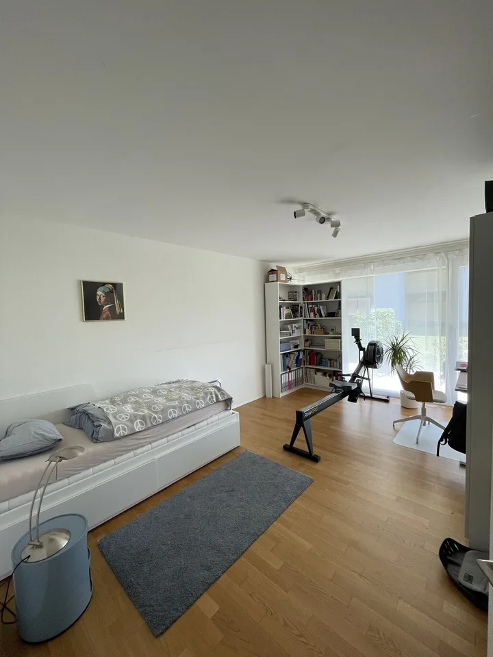 4½ ZI-WOHNUNG IN LUZERN, MÖBLIERT, TEMPORÄR