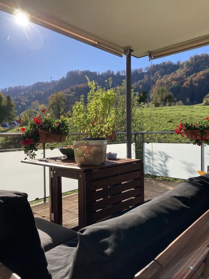 Spacious, Bright and Cousy 4th-floor apartment for rent in Zurich