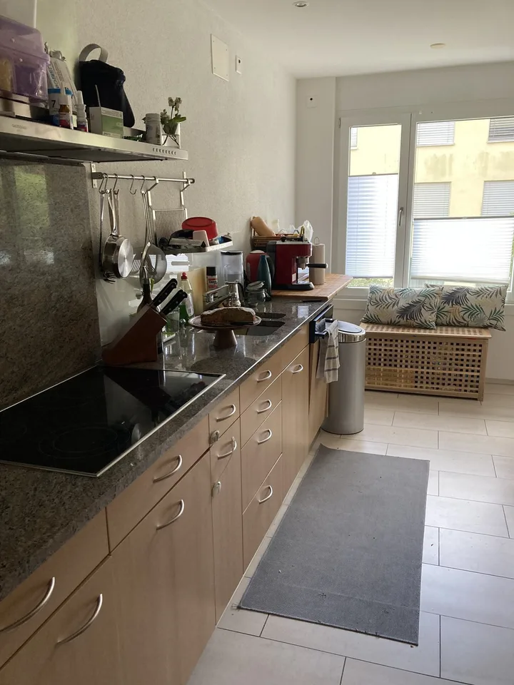 Spacious, Bright and Cousy 4th-floor apartment for rent in Zurich