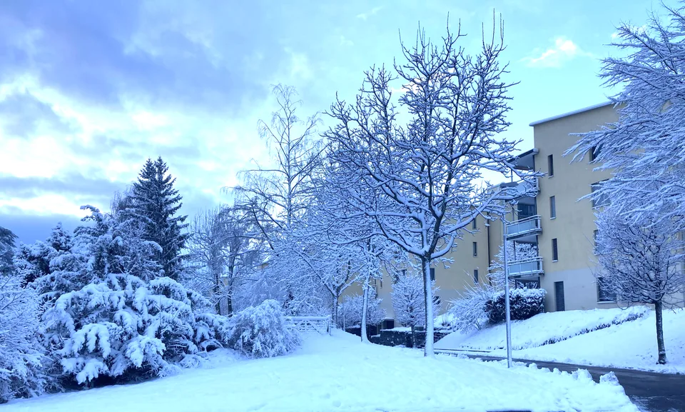 Spacious, Bright and Cousy 4th-floor apartment for rent in Zurich