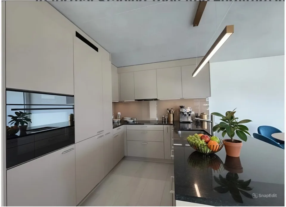 Rent a 4 ½ rooms apartment in Buchs Dallikon