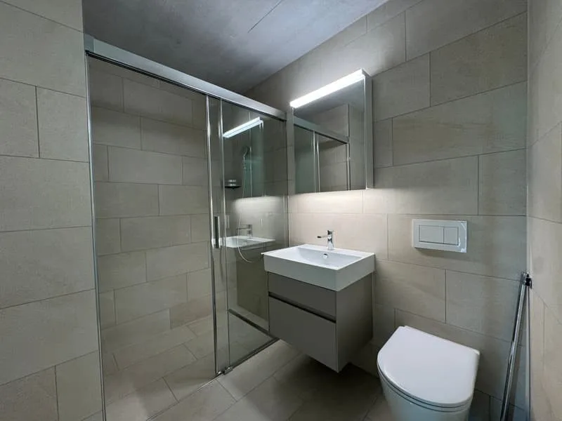 Rent a 4 ½ rooms apartment in Buchs Dallikon