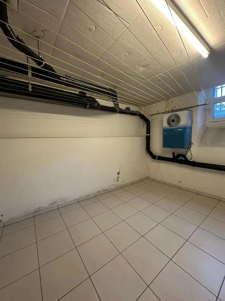 Schwingerstrasse 12, 8006 Zurich - CHF 5’500 inkl. NK pro Monat