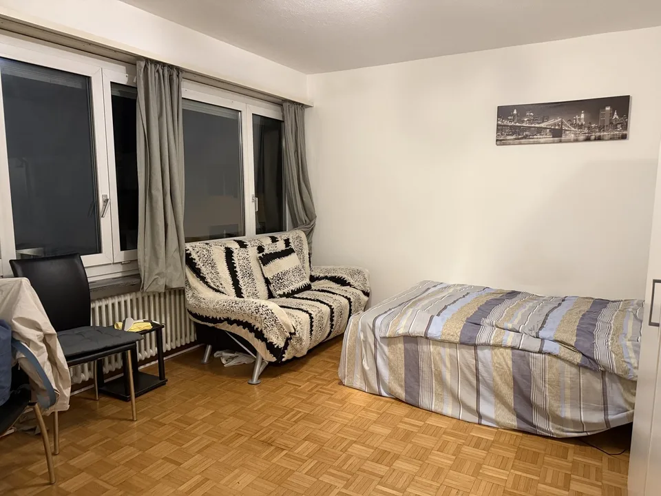 Well-located 1.5 room flat near Oerlikon