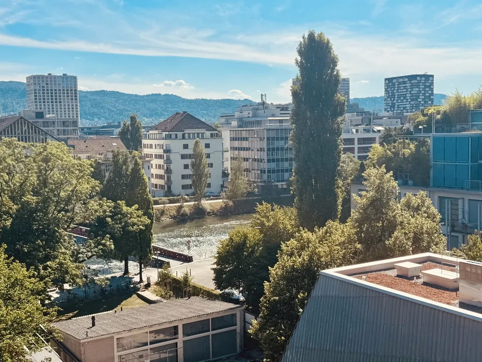 2½ ZIMMER-DACHWOHNUNG IN ZÜRICH - KREIS 10, MÖBLIERT, TEMPORÄR