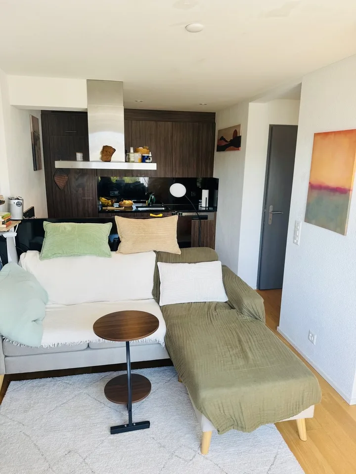 2½ ZIMMER-DACHWOHNUNG IN ZÜRICH - KREIS 10, MÖBLIERT, TEMPORÄR