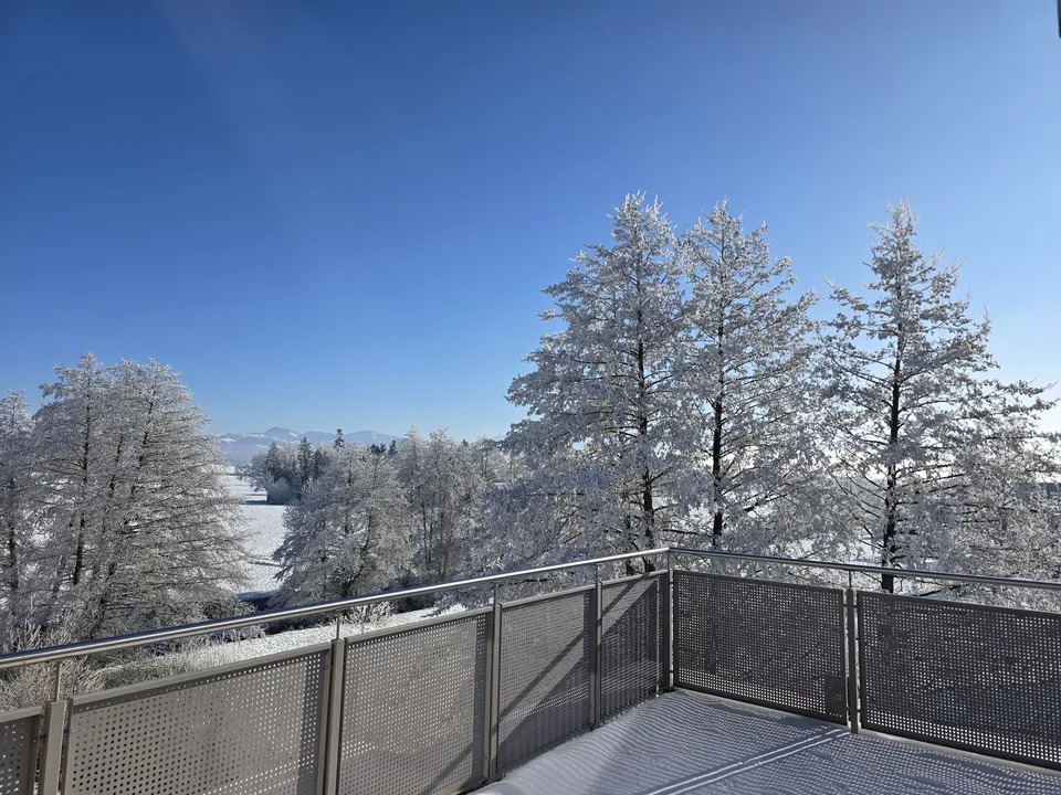 Charmante Attikawohnung im Zürcher Oberland