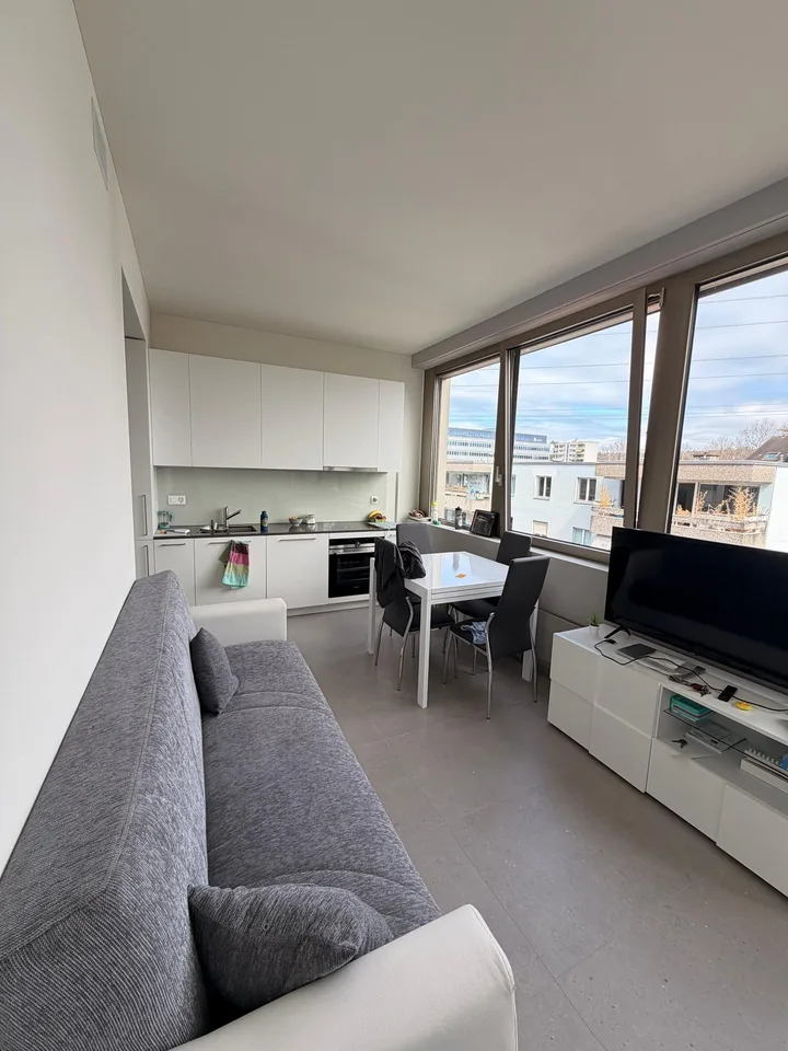 Modernes, Helles 1.5-Zimmer-Appartement in Steinhausen