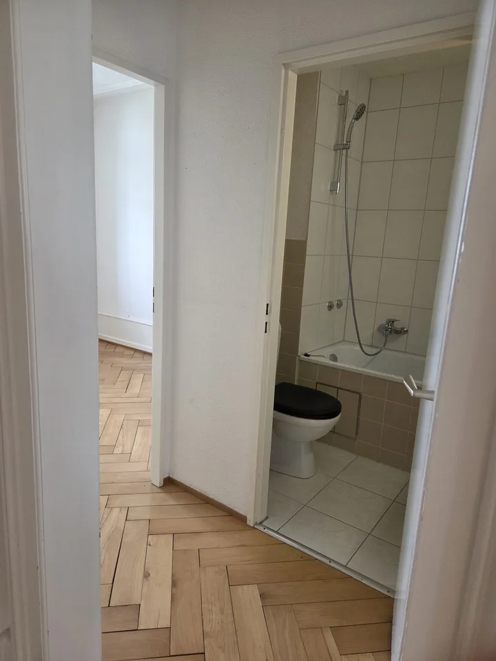 Charmante 3-Z'Altbauwohnung, hell & ruhig