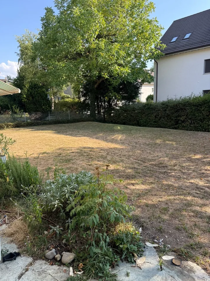 2.5-Room Apartment with Spacious Living Area & Private Garden