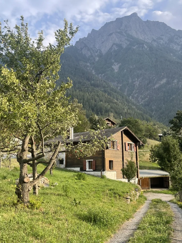 Einfamilienhaus im Grünen, Neue Simplonstrasse 80 Brig