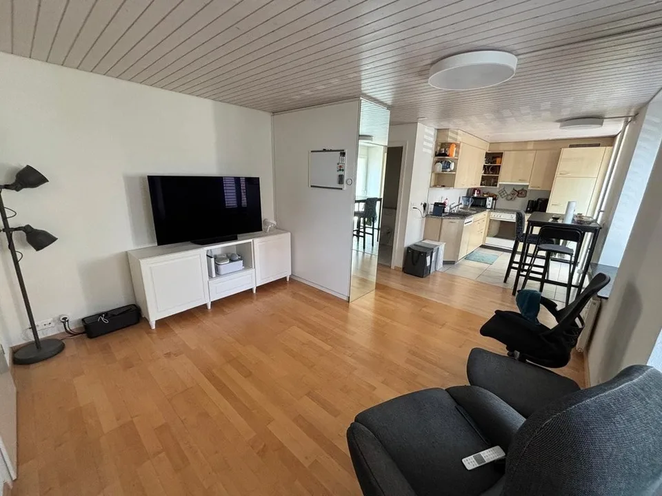 2-room apartment near Thalwil train station for rent