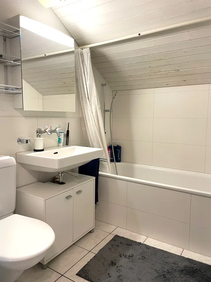 2 ½ Zimmer-Dachwohnung, 4500 Solothurn