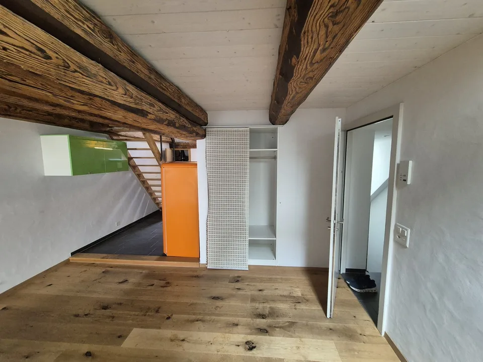 Top Wohnung über den Dächern von der Altstadt Schaffhausen
